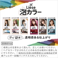 [Direct from Japan] Liese Creamy Bubble Color 108ml