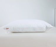 1 piece pillow 50x65/50x70/50x75/50x90cm 100% cotton duck feather pillow bed pillow fiiling insert