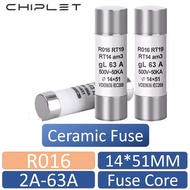 20Pcs R016 Fuse Resistor 14X51 Ceramic Fuse Tube 14*51 2A 4A 6A 10A 16A 20A 32A 50A 50A 63A R016 RT1