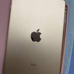 Ipad mini5 64G wifi