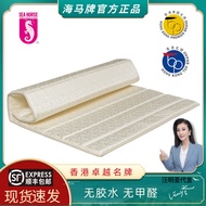 Hong Kong Sea Horse Brand Mattress Sea Horse Student Dormitory Lunch Break Sofa Cushion Thin Cushion Sponge Foldable