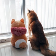 特價  大號倉屋柴犬公仔 送包袱布兜麋鹿帽子 42cm