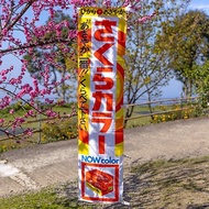 桑惠商號 1967s日本櫻花牌底片 廣告紀念旗幟 さくらカラーN-100