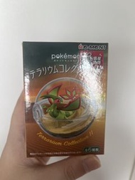 Re-Ment寶可夢玻璃球生態球 擺飾 Re-Ment Pokemon Terrarium Collection II Flygon Figure