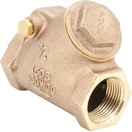 Legend Valve 105-306NL 1-1/4 T453 NL Y-PTN CHECK VALV Model T-453NL