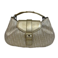 Dior 迪奧 金色晚宴腋下包