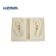 Human 3D Silicon Ear Model