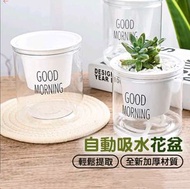 自動吸水花盆 吸水花盆 塑膠花盆 綠植 水培花盆 簡約花盆 花盆 花架