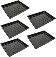 Milisten 5pcs Cultivation Pot Holder Sprouting Trays Wheatgrass Tray Rectangular Tray Plant Germination Tray House Plants Indoors Live Indoor Plants Succulents Plastic Starter