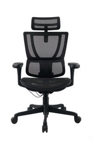 Ergohuman IOO UB2  Carlos Ergonomic Office Chair 人體工學椅 辦公椅 電腦椅