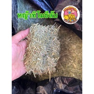 Chopped Timothy Grass 10 Kg Bag Helps Increase Fiber Stimulates Turtle Appetite.