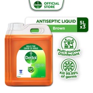 [Bundle of 3] Dettol Antibacterial Disinfectant Multi-Use Liquid, Germ Killer, Protects From 99.99% 