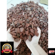 Pine bark forest bark kulit pinus cacah size medium 1kg media tanam anggrek