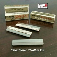 Razor Blade/Razor Feather Cut