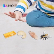 [WUHO] Life Cycle of Bee Toys Science Animal Growth Cycle Figures Presentations