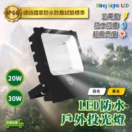 Bling Light LED 20W/30W Outdoor Flood Light/Advertising Light/Flood Light/Projection Light, IP66 Dus