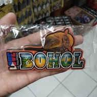 Bohol Magnet Fridge Souvenir - Love Philippines BoHol Travel Gift with Colorful Design and Bohol