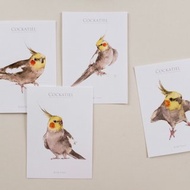 鳥兒明信片組 E 玄鳳