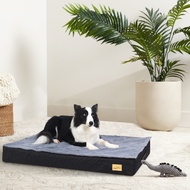 BingoPaw L-3XL ที่นอนสัตว์เลี้ยง Orthopedic Foam Dog Bed with Removable Washable Cover เตียงสุนัข หล
