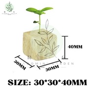 72/100 Cubes Rockwool Aquaponic Germination Rockwool Hydroponic Rockwool with Holes Hydroponik Rockw
