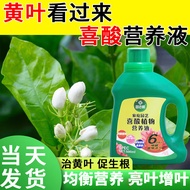 Teacher Yuan, Happy Acid Plant Nutrient Solution Acid Plant Camellia Jasmine Rhododendron Bonsai Happy Acid Plant Fertil