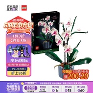 乐高（LEGO）积木玩具 ICONS系列 10311兰花 18岁+ 生日毕业礼物 家居摆件