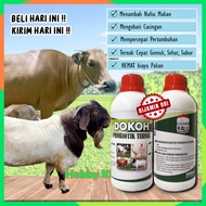 DOKOH Sapi Super Gemuk - Sapi Biar Gemuk - Menambah Nafsu Makan Hewan Ternak Sapi Kambing Domba