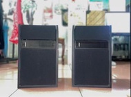 Bose 301 Series II 二代喇叭