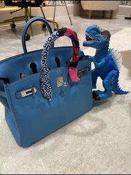 Hermes Birkin 25
