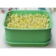 Eco-Friendly Bean Sprout Jar | Home Sprouting Container, Non-Polluting & Easy-to-Use for Mung/Soy Be