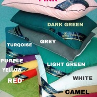 PILLOW HILTON 1000GM /1KG