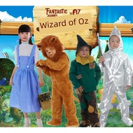 Halloween Kids Costume: The Lion King Little Lion Character