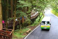 嘉義-低碳暢遊| 阿里山國家森林遊樂區門票&amp;電動遊園車(沼平與香林線)| 國人限定