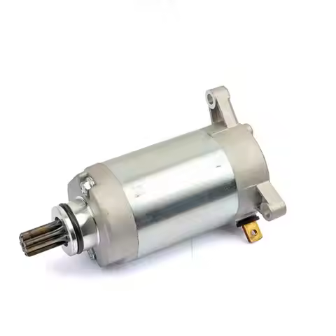 Motorcycle Starter Motor for Yamaha YBR 125 XT 125 XTZ 125 YBR 125cc 3D6-H1890-00-00 3D9-H1800-00-00