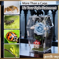 [PerfkMY] Reptile Feeding Box, Container, Portable, Reptile Terrarium Enclosure Box Habitat Cage