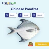 Beacon Mart Whole Fish Chinese Pomfret