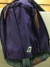 Gregory 紫色背包