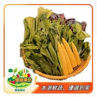 全城熱賣 - 火鍋搭檔翡翠苗玉米筍紫背菜春菜(800g)