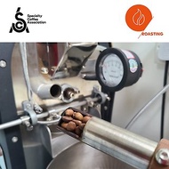 體驗 SCA 精品咖啡協會咖啡烘焙初級課程
