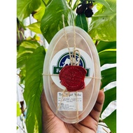 Yogurt Cultured Butter - 100% Grass Fed Butter - Chemical Free (own farm's A2 cow milk)