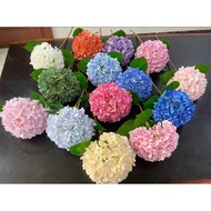 Hydrangea x 1 Flower Bouquet