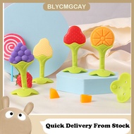 Baby Fruit Teether Baby Teether Stick Food Grade Silicone Teether To Soothe Newborn Teether Chew Toy