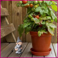 Garden Gnomes Outdoor Funny Gnomes Figurines Resin Garden Statues Yard Decorations Garden Gnomes Dwa