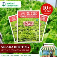 Benih Selada Keriting / Bokor Lettuce Grand Rapids 10 gr (12.000 Biji) Bibit Selada Keriting Ta Fung