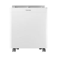 Toshiba 東芝20公升二合一空氣淨化抽濕機RAD-DA11HK-1