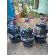 Adapter 5 VOLT (20 Pcs)