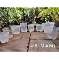 Aroid Exotic Philodendron Orchid Plant Plastic Transparent Clear Pot Mesh Net Pot Flower Pot Transpa