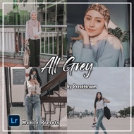 Lightroom Mobile Presets DNG File | All Grey