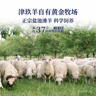 Yanchitan Sheep Golden Diamond Light Luxury Gift Box Gift Card Pickup Card Shopping Card Scratch Car