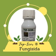 Fungisida Top score 250ml SISTEMIK difenokonazol 250 sekor